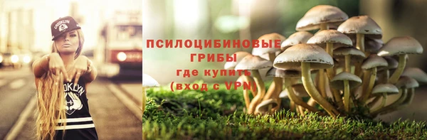 бутират Тавда