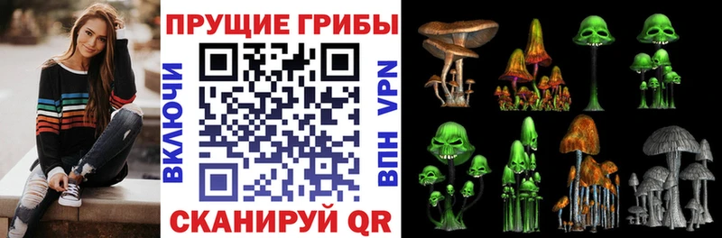 где продают наркотики  Железногорск  Псилоцибиновые грибы мухоморы 