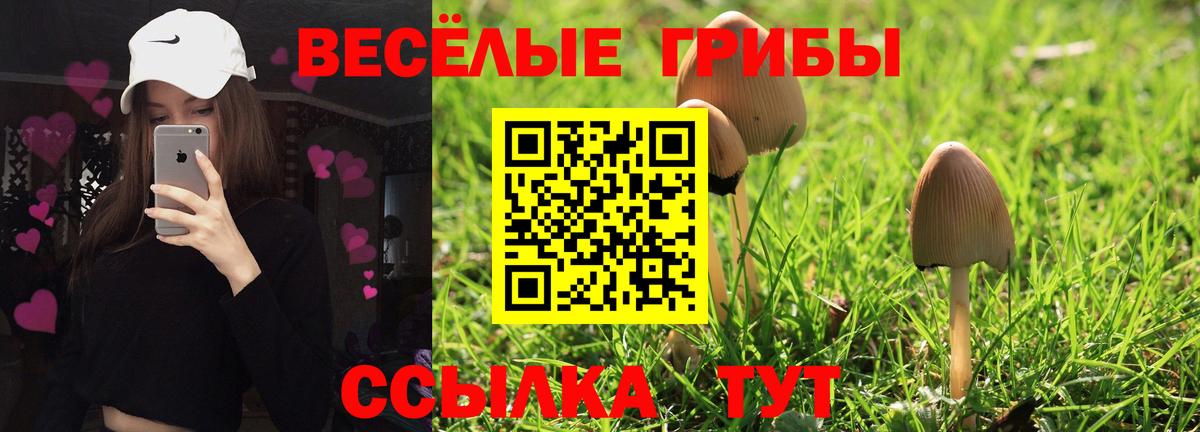 Псилоцибиновые грибы Cubensis Железногорск