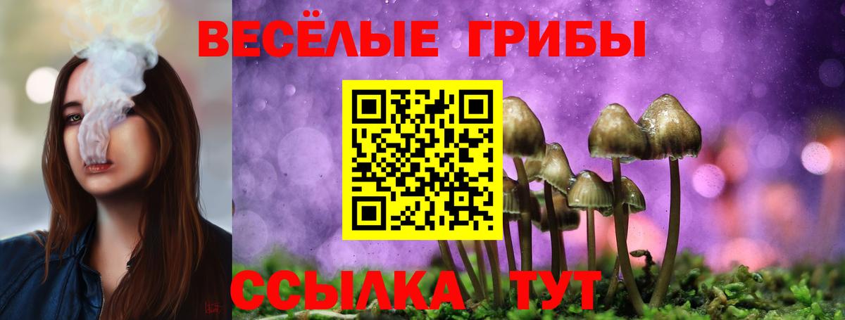 Псилоцибиновые грибы GOLDEN TEACHER  Вход с VPN  купить закладку  Железногорск 