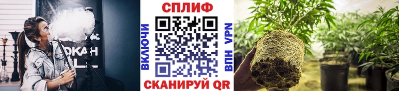 Канабис Amnesia  Железногорск 